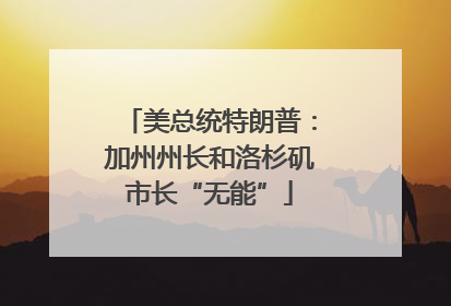 美总统特朗普：加州州长和洛杉矶市长“无能”