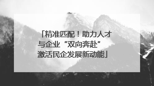 精准匹配！助力人才与企业“双向奔赴” 激活民企发展新动能