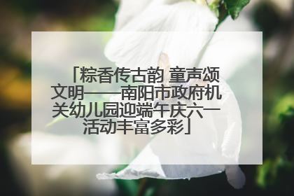 粽香传古韵 童声颂文明——南阳市政府机关幼儿园迎端午庆六一活动丰富多彩