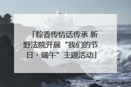 粽香传情话传承 新野法院开展“我们的节日・端午”主题活动
