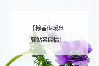 粽香传暖意 驿站系民情
