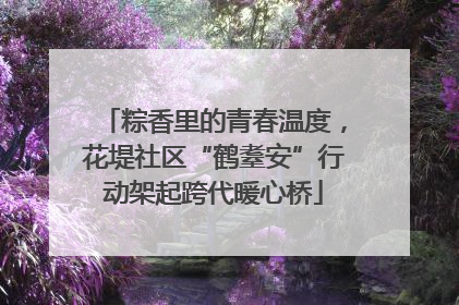 粽香里的青春温度，花堤社区“鹤耋安”行动架起跨代暖心桥