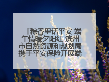 粽香里话平安 端午情暖夕阳红 滨州市自然资源和规划局携手平安保险开展端午主题活动