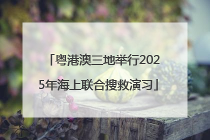 粤港澳三地举行2025年海上联合搜救演习