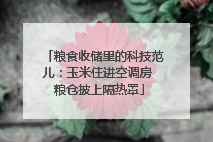 粮食收储里的科技范儿：玉米住进空调房 粮仓披上隔热罩