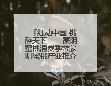 红动中国 桃醉天下——蒙阴蜜桃消费季暨蒙阴蜜桃产业推介会成功举办