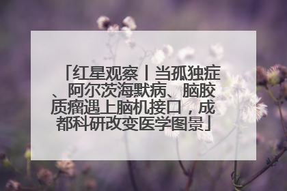 红星观察丨当孤独症、阿尔茨海默病、脑胶质瘤遇上脑机接口，成都科研改变医学图景