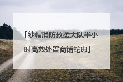 纱帽消防救援大队半小时高效处置商铺蛇患