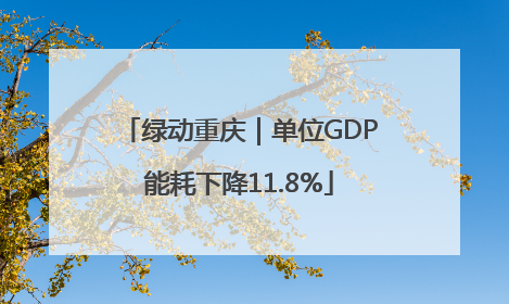 绿动重庆｜单位GDP能耗下降11.8%