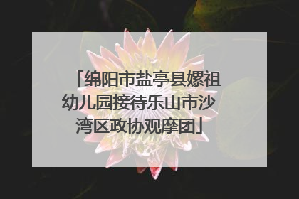 绵阳市盐亭县嫘祖幼儿园接待乐山市沙湾区政协观摩团