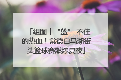 组图丨“篮” 不住的热血！常德白马湖街头篮球赛燃爆夏夜