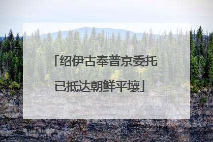 绍伊古奉普京委托已抵达朝鲜平壤