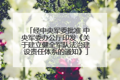 经中央军委批准 中央军委办公厅印发《关于建立健全军队法治建设责任体系的通知》