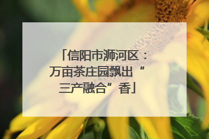 信阳市浉河区：万亩茶庄园飘出“三产融合”香