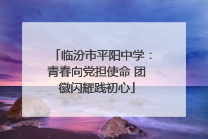 临汾市平阳中学：青春向党担使命 团徽闪耀践初心