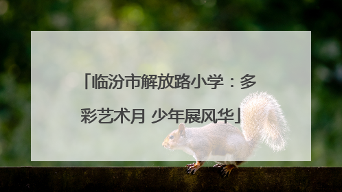 临汾市解放路小学：多彩艺术月 少年展风华