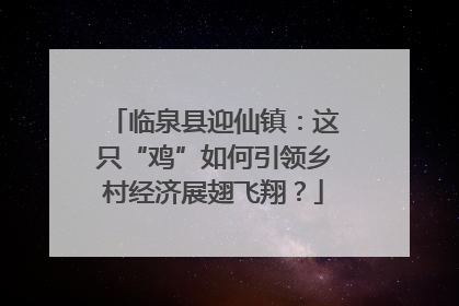 临泉县迎仙镇：这只“鸡”如何引领乡村经济展翅飞翔？