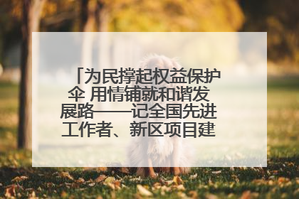 为民撑起权益保护伞 用情铺就和谐发展路——记全国先进工作者、新区项目建设中心干部卢小勇