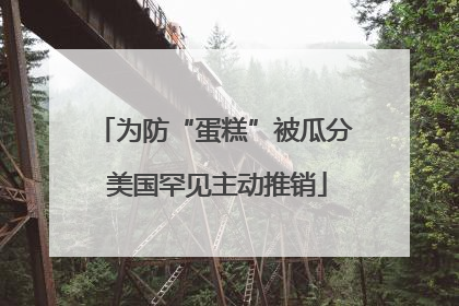 为防“蛋糕”被瓜分 美国罕见主动推销