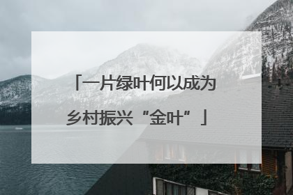 一片绿叶何以成为乡村振兴“金叶”