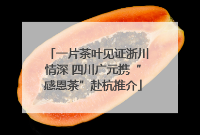 一片茶叶见证浙川情深 四川广元携“感恩茶”赴杭推介