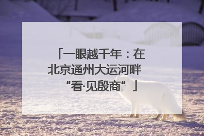一眼越千年：在北京通州大运河畔“看·见殷商”