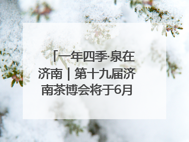 一年四季·泉在济南｜第十九届济南茶博会将于6月20日开幕