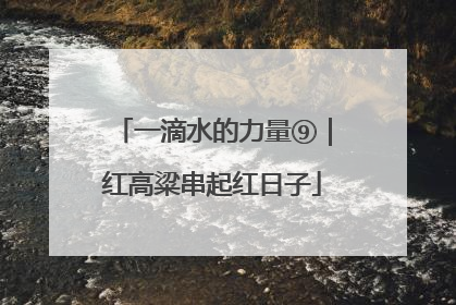 一滴水的力量⑨｜红高粱串起红日子