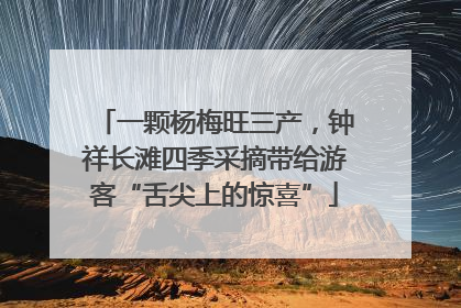 一颗杨梅旺三产，钟祥长滩四季采摘带给游客“舌尖上的惊喜”