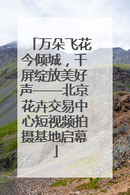 万朵飞花今倾城，千屏绽放美好声——北京花卉交易中心短视频拍摄基地启幕