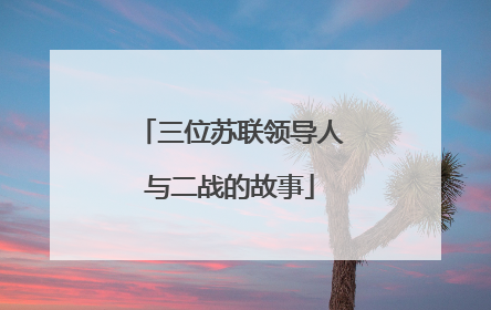 三位苏联领导人与二战的故事