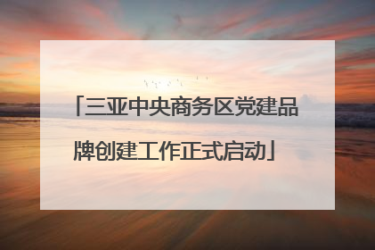 三亚中央商务区党建品牌创建工作正式启动