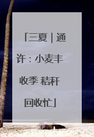 三夏｜通许：小麦丰收季 秸秆回收忙