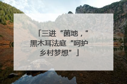 三进“菌地，”黑木耳法庭“呵护乡村梦想”