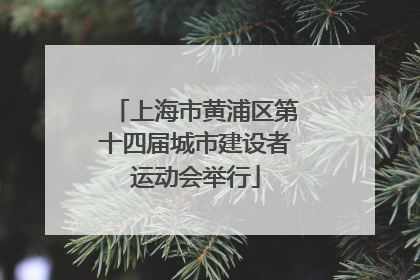 上海市黄浦区第十四届城市建设者运动会举行