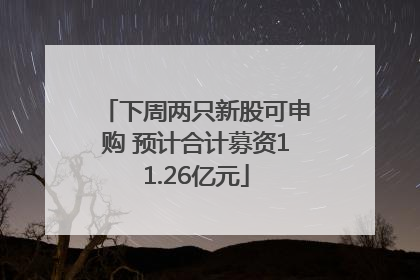 下周两只新股可申购 预计合计募资11.26亿元