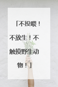 不投喂！不放生！不触摸野生动物！