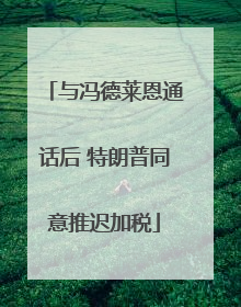 与冯德莱恩通话后 特朗普同意推迟加税