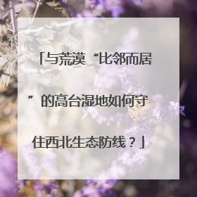 与荒漠“比邻而居”的高台湿地如何守住西北生态防线？