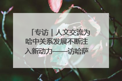 专访｜人文交流为哈中关系发展不断注入新动力——访哈萨克斯坦文化与信息部部长巴拉耶娃