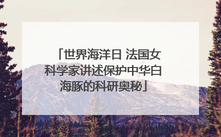世界海洋日 法国女科学家讲述保护中华白海豚的科研奥秘