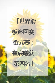 世界滑板巡回赛街式赛：崔宸曦获第四名