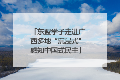 东盟学子走进广西多地“沉浸式”感知中国式民主