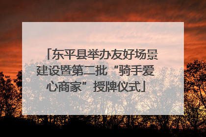 东平县举办友好场景建设暨第二批“骑手爱心商家”授牌仪式
