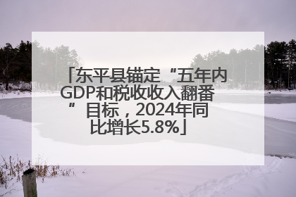 东平县锚定“五年内GDP和税收收入翻番”目标，2024年同比增长5.8%