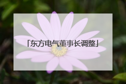 东方电气董事长调整
