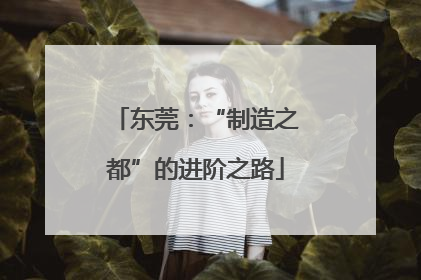 东莞：“制造之都”的进阶之路