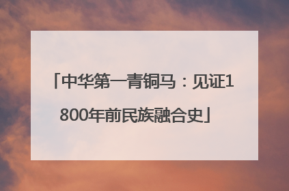 中华第一青铜马：见证1800年前民族融合史