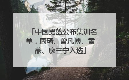 中国男篮公布集训名单，周琦、曾凡博、雷蒙、廖三宁入选