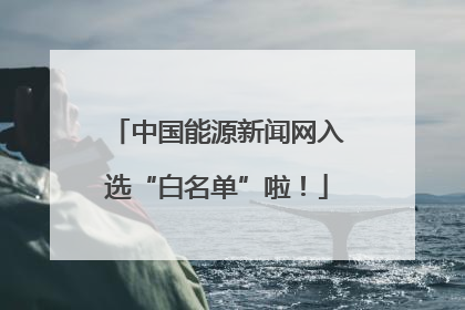中国能源新闻网入选“白名单”啦！